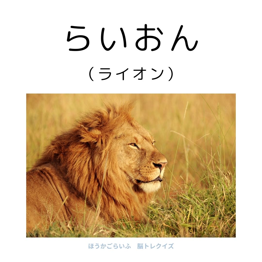 高齢者向け（無料）言葉の並び替えで脳トレしよう！文字（ひらがな）を並び替える簡単なゲーム【動物の名前】健康寿命を延ばす鍵